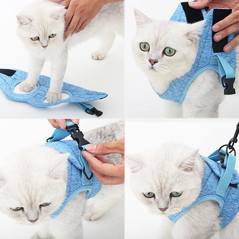 Does The Cat On Leash Suffer? The Best Harnesses for Cats