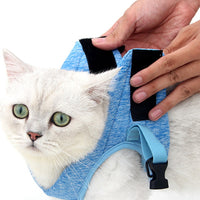 Best cat harness.