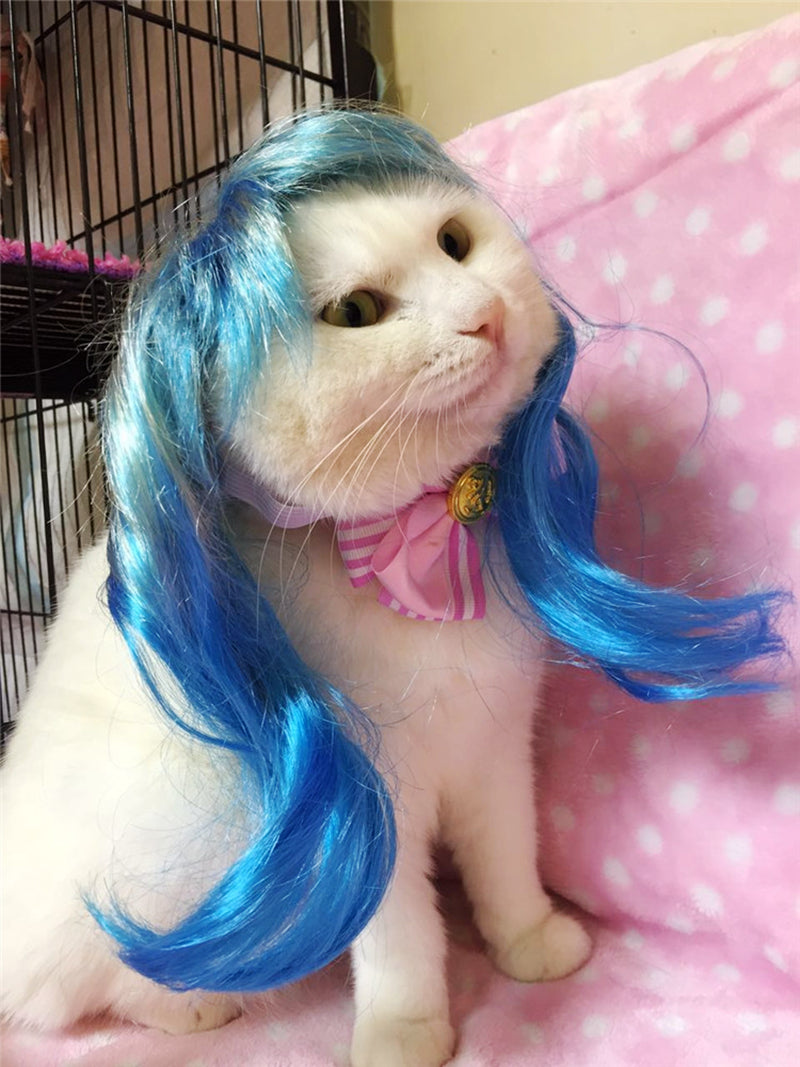 Adorable Cat Wigs Cat Cosplay Fun Unique Gifts Pawz Chic