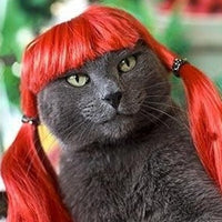 Funny Cat Pigtail Wig
