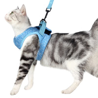 Cat harness and leash.