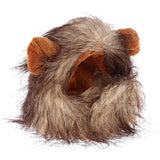 Funny Cat Lion Wig Costume