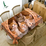 Cat lover gifts.