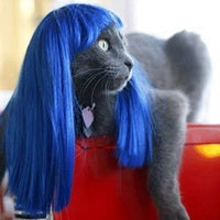 Funny Cat Long Hair Wig